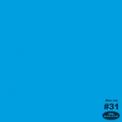 Savage (31-12) Blue Jay фон бумажный 2,7x11 м голубая сойка