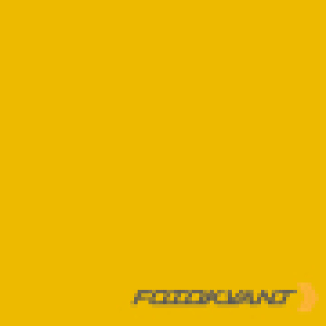 Fotokvant BGP-2711-14 Forsythia Yellow фон бумажный 2.72х11 м желтая форзиция - фото2