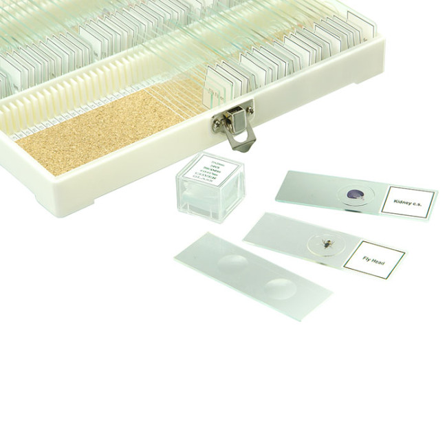 Набор готовых микропрепаратов Микромед №80 - фото3