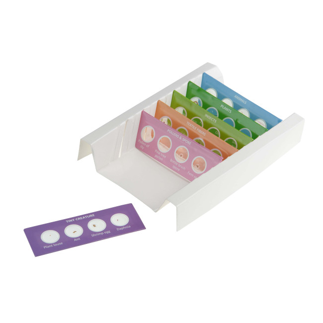 Набор микропрепаратов Микромед №24 - фото2