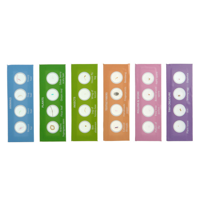 Набор микропрепаратов Микромед №24 - фото3