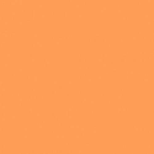 Фон нетканый 1.6х2.1м (бежевый)