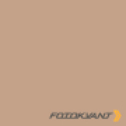 Fotokvant BGP-2711-25 Beige фон бумажный 2.72х11 м бежевый- фото2