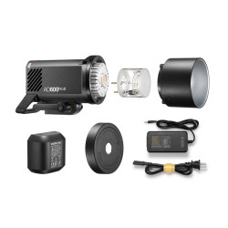 Вспышка аккумуляторная Godox Witstro AD600ProII- фото3