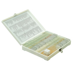 Набор готовых микропрепаратов Микромед №80- фото2