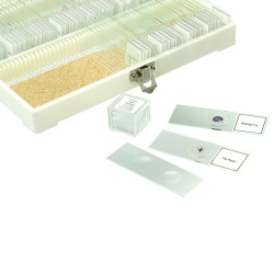 Набор готовых микропрепаратов Микромед №80- фото3