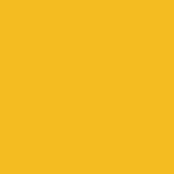 Фон бумажный Falcon Eyes BackDrop PRO 2.72x11 Yellow-Orange (35)- фото