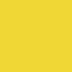 Фон бумажный Falcon Eyes BackDrop PRO 2.72x11 Forsythia Yellow (14)- фото2